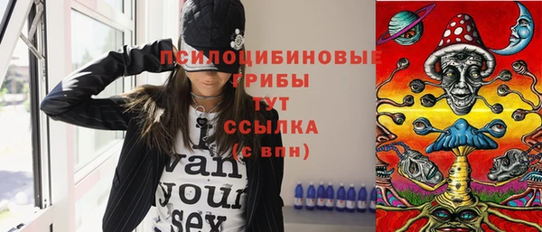прущий лед Корсаков
